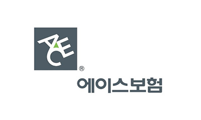 에이스보험